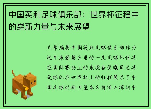 中国英利足球俱乐部：世界杯征程中的崭新力量与未来展望